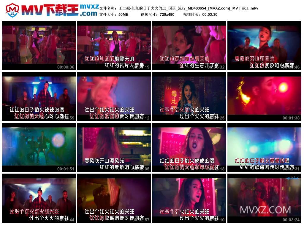 王二妮-红红的日子火火的过_国语_流行_MD403654